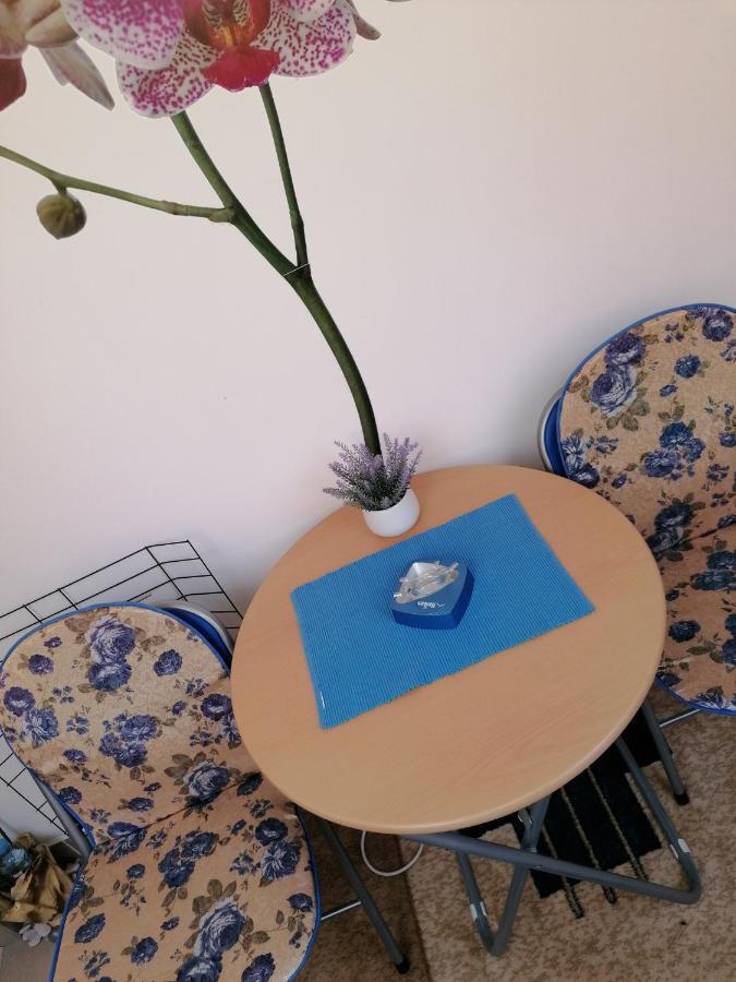 Apartman Nena Nova Varoš Buitenkant foto